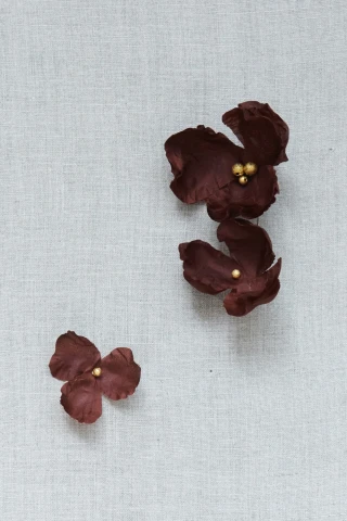 Kolczyki Diascia Hazelnut