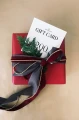 Gift Card 200 2