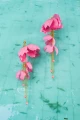 25-Kolczyki-jedwabne-kwiaty-dlugie-lancuszki-koral-Anemone-Honeysuckle-silk-flowers-long-chains-coral-Earrings-479pln