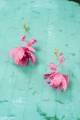 31-Kolczyki-jedwabne-kwiaty-Fuchsia-Honeysuckle-silk-flowers-Earrings-399pln