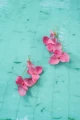 24-Kolczyki-jedwabne-kwiaty-Zephyr-Honeysuckle-silk-flowers-teardrop-Earrings-399pln