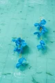 11-Kolczyki-jedwabne-kwiaty-Somei-Aqua-Sky-silk-flowers-Earrings-399pln