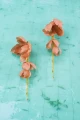26-Kolczyki-jedwabne-kwiaty-dlugie-lancuszki-Anemone-Pink-Sand-silk-flowers-long-chains-Earrings-479pln
