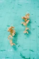 13-Kolczyki-jedwabne-kwiaty-Somei-Warm-sand-silk-flowers-Earrings-399pln