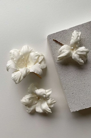 Wsuwki Amaryllis