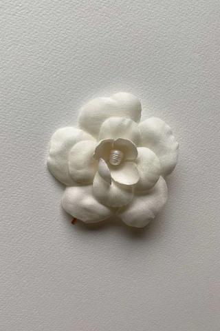 Wsuwka Camellia 