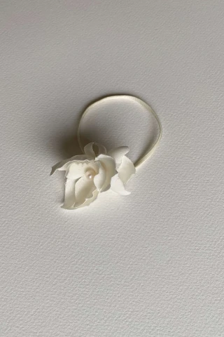 Gumka Gardenia