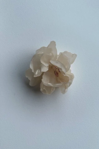 Jedwabny Kwiat Baby Wild Rose Ecru