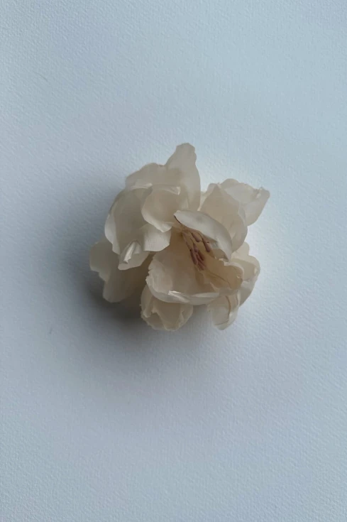 3c. Jedwabny-kwiat-roza-nude-DECOLOVE-baby-Wild-Rose-Silk-Flower.jpg