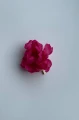5b. Jedwabny-kwiat-roza-fuchsia-DECOLOVE-baby-Wild-Rose-Silk-Flower.jpg