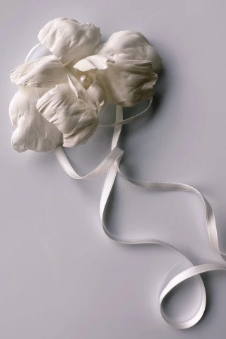 Wsuwka Orchid