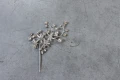 Wadering Star Pin 1