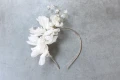 Snowdrop 1