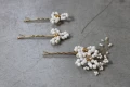 Frozen Petals 4